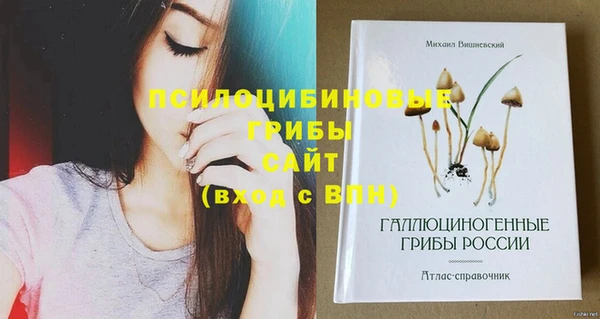ECSTASY Бугульма