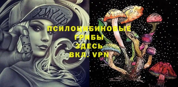 mdpv Бородино
