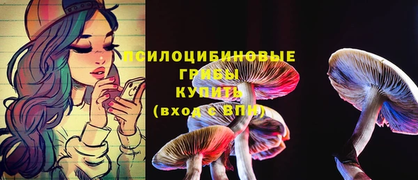 ECSTASY Бугульма
