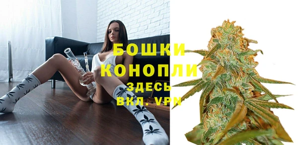 mdpv Бородино